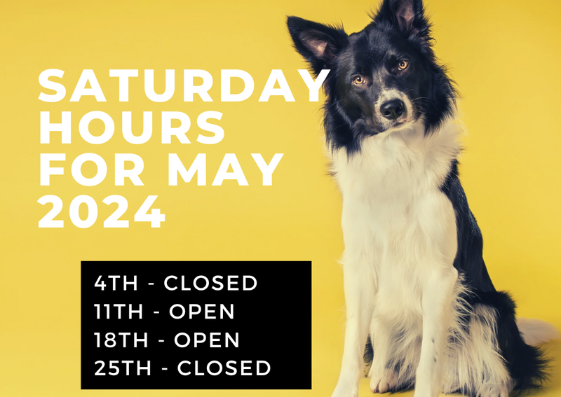 Animal Hospital Inc Willoughby Hills veterinarians